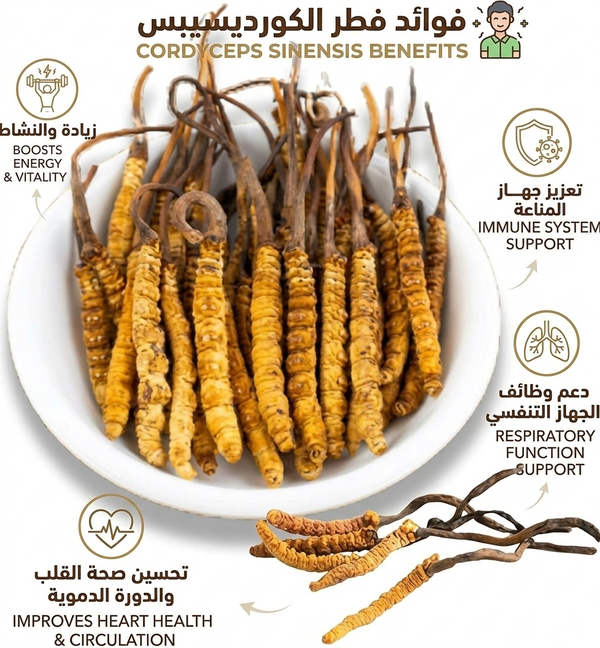 فطر الكورديسيبس